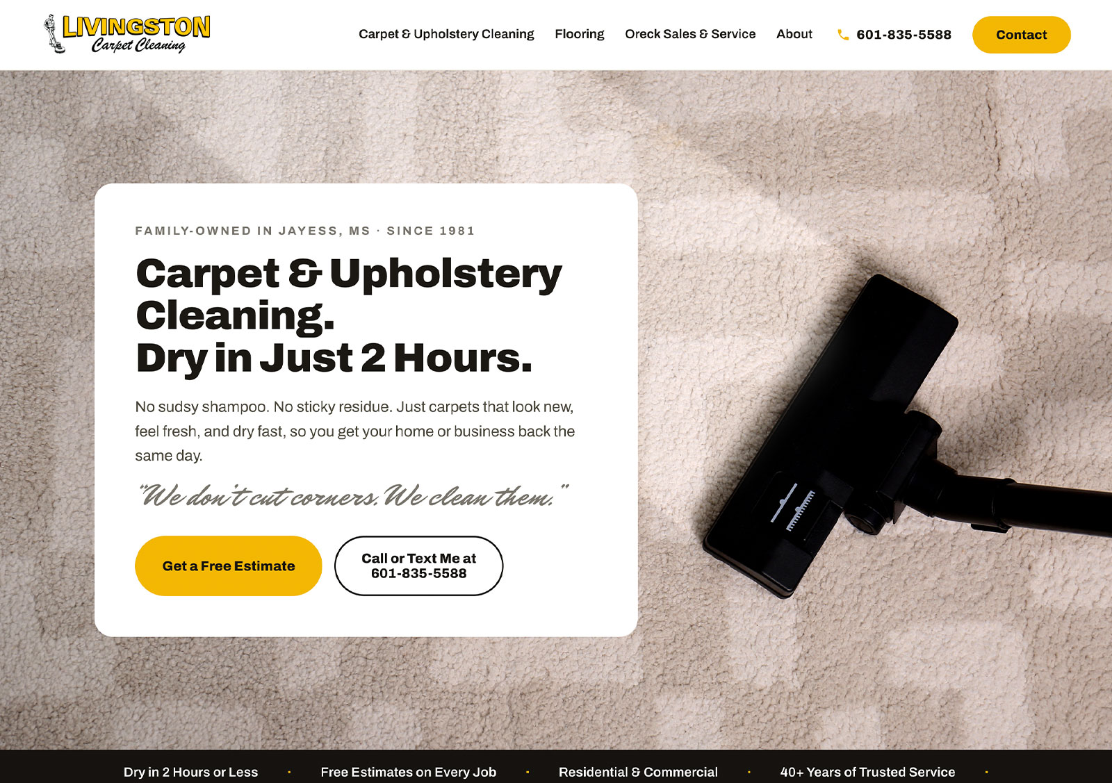 Livingston Carpet Cleaning website homepage